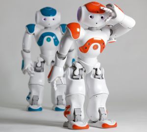 Humanoide Robotik